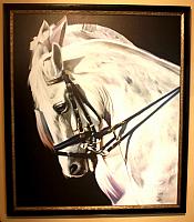 horses